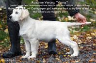 Roxanne Verona "Vanna"